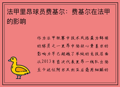 法甲里昂球员费基尔：费基尔在法甲的影响